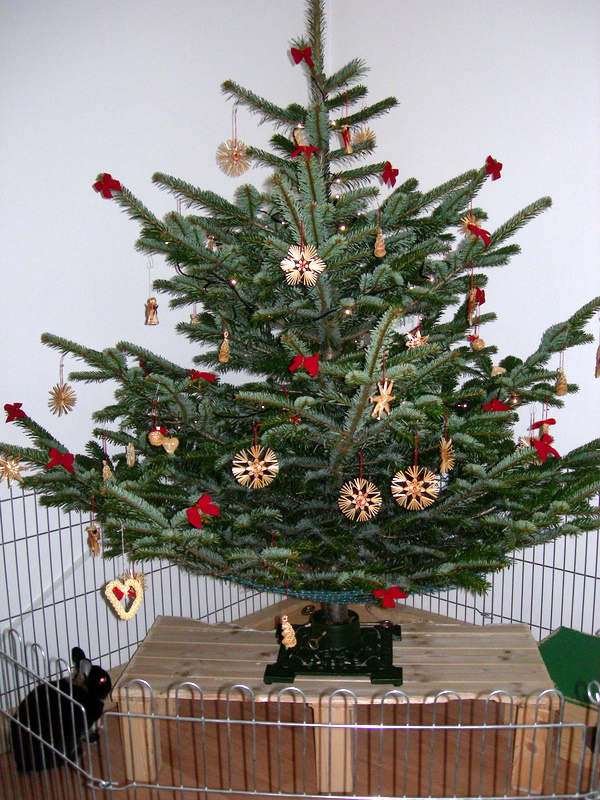 Vánoční strom 2011 6